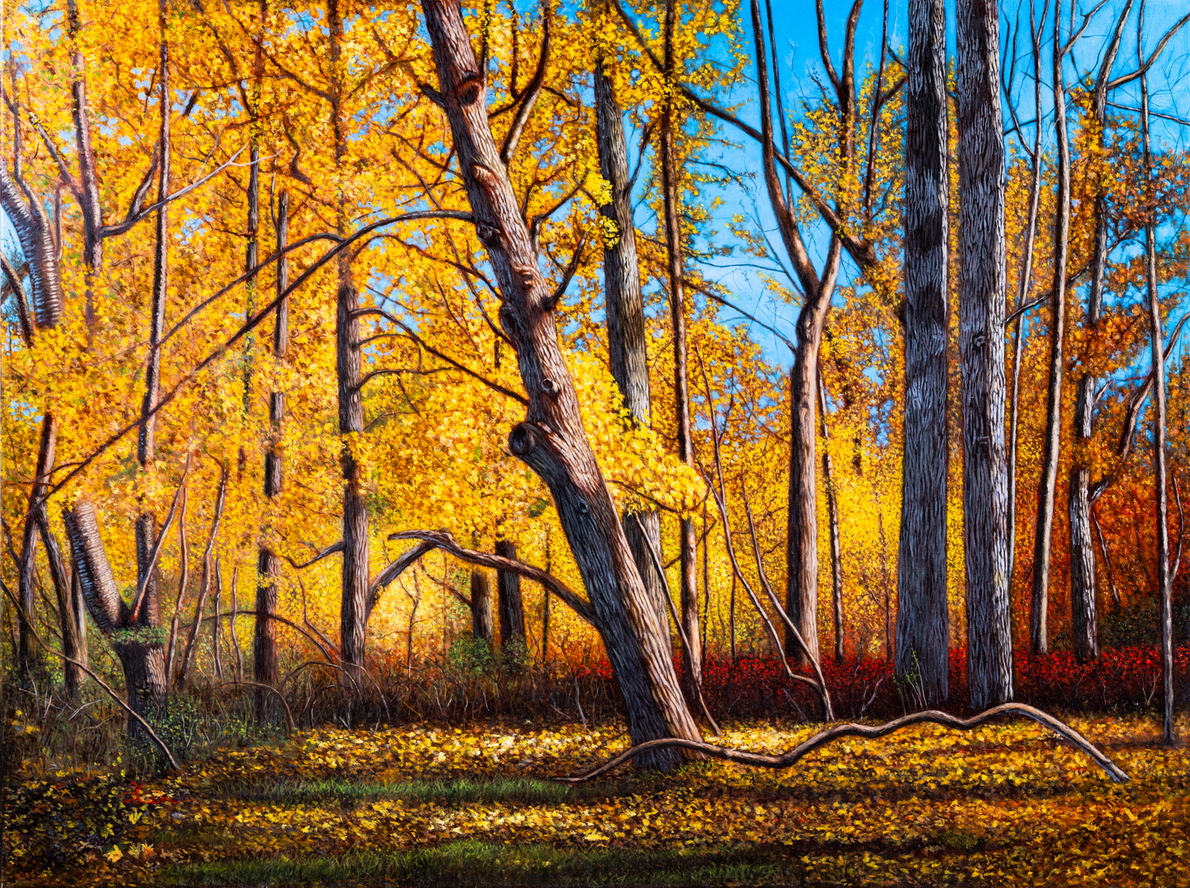 Yellow Forest